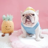 Летняя одежда для домашних животных Fato Dog Pure Cotton Hetchable Vest Skunari Corki 2 бесплатная доставка