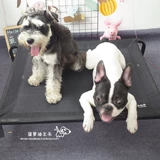 БЕСПЛАТНАЯ ДОСТАВКА FOUR SEASONS PET BED, разобрать и мытья гнезда, дышащие матрасы боевых искусств, собачье гнездо, кошачье гнездо, Dou Suenari Corki