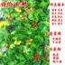 Mô phỏng mây trái cây hoa nho nho lá trần trần lá xanh phòng khách trang trí ống nhựa giả cây xanh treo tường - Hoa nhân tạo / Cây / Trái cây Hoa nhân tạo / Cây / Trái cây