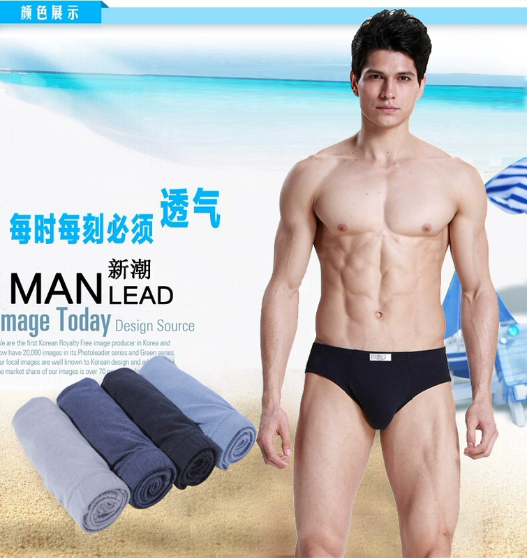 4 tải Langsha đồ ​​lót nam giới tóm tắt cotton thanh niên eo giữa đồ lót thoáng khí cotton tam giác đồ lót nam quần lót nam thun lạnh