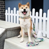 Tangcao -patterned Shiba Inu Traction Tope веревка японского стиля для собак ходьба веревочная шейка для грудной клетки шей