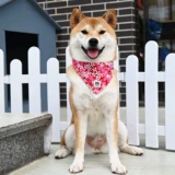 Ручная и фенгтангская трава направление веревка японская домашняя пагода Чай Скорость собаки