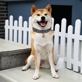 [Rui Chai Family Tang Grass Grass Pattern воротник] Японский ошейник Shiba Inu Corgi Pet маленькие собаки с кружкой шеи и шеи