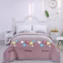 QUILT pha lê giường nhung bao gồm một mảnh 1.8m đôi tăng bên nhung bông của các tấm bên bìa giường bông kang - Trải giường thảm trải giường