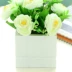 Hoa kẻ sọc trắng hoa gỗ bình hoa bình hoa dụng cụ cắm hoa cắm hoa chậu hoa nhân tạo - Vase / Bồn hoa & Kệ Vase / Bồn hoa & Kệ