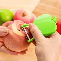 Apple Peeling Device