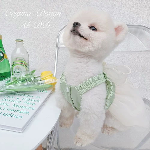 AKDD PET CAT DOGS DOG