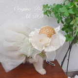 AKDD PET CAT DOGS DOG