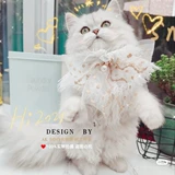 Брендовый нагрудник, шарф, галстук-бабочка, колокольчик, слюнявчик, чокер, аксессуар, домашний питомец, кот