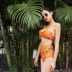 Wei Naibo 9959 Thái Lan in ấn du lịch tập hợp bikini nhỏ ngực nữ eo cao đã mỏng che bụng bikini - Bikinis