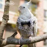 Чистая домашняя птица одежда попугай домашние животные весна и осенняя куртка маленькие платья.