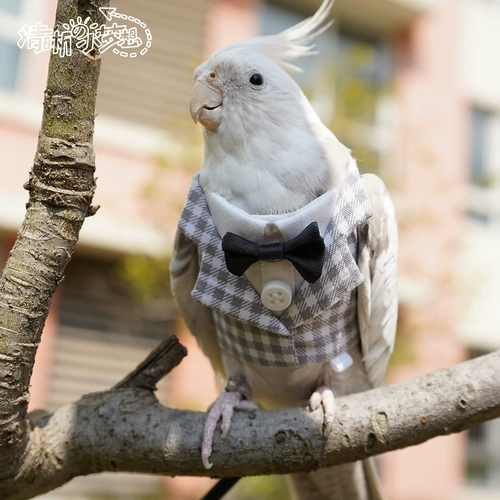 Чистая домашняя птица одежда попугай домашние животные весна и осенняя куртка маленькие платья.