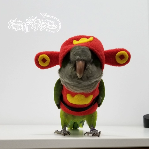 Ясная маленькая мечта Оригинальная птица попугая, одежда со шляпой, свитер, густая теплая одежда, летающая служба, богатство Бога Новогоднего платья