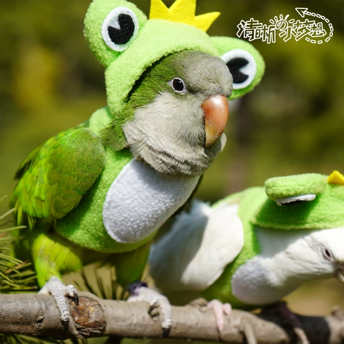 Чистый домашний попугай птица Xuanfeng осенью и зимняя густая теплая одежда Летающая одежда толстовка толстовка капюшона.