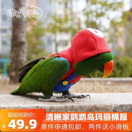 Чистая попугая птица одежда теплой одежда Сюанфенг переправляется хлопковое соревновательное соревновательное факультет