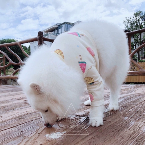 [Распродажа] Полосатые налокотники с длинными рукавами для средних и крупных собак, летняя повседневная одежда с фруктами и радужной радугой.