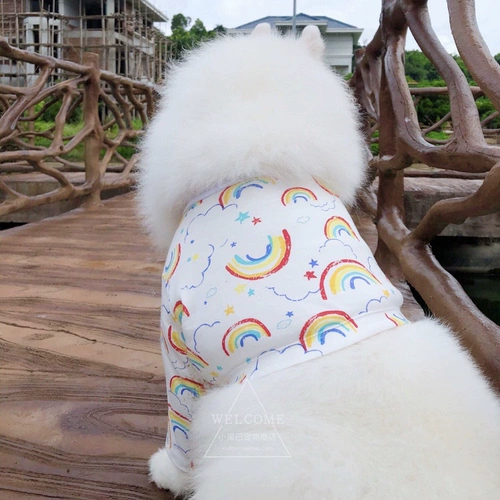 [Распродажа] Полосатые налокотники с длинными рукавами для средних и крупных собак, летняя повседневная одежда с фруктами и радужной радугой.