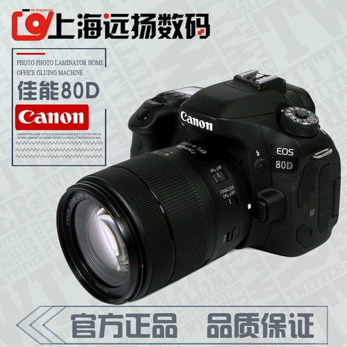 Canon Second -Hand Mid -End Travel Digital SLR -камера