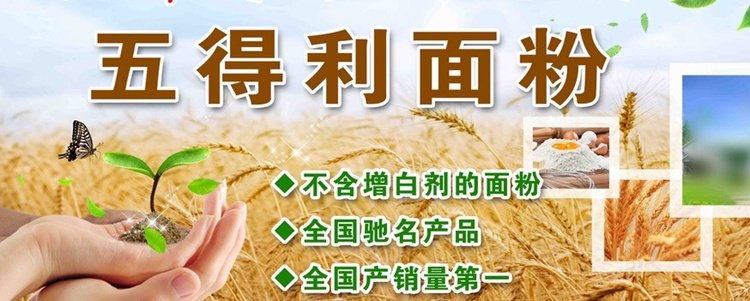 厂地直销 五得利面粉富强面粉高筋面粉小麦粉25kg 量大从优价格