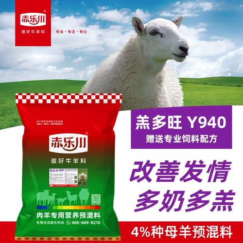 Чилечуань 4%беременность Мианьяма овца