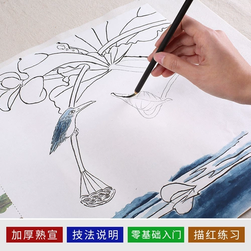 Носовая на базе начинающие ученый -живопись покраска кисти белый рисунок нижний проект положить китайскую картину Lotus Carp Line Line может быть непосредственно приготовленной