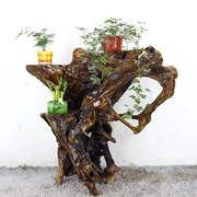 Rễ khắc khung gỗ Cây thân gỗ tự nhiên hình dạng hoa đứng kệ Bogu cơ sở thủ công mỹ nghệ trang trí sàn - Các món ăn khao khát gốc