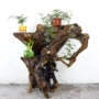 Rễ khắc khung gỗ Cây thân gỗ tự nhiên hình dạng hoa đứng kệ Bogu cơ sở thủ công mỹ nghệ trang trí sàn - Các món ăn khao khát gốc bộ bàn ghế gốc cây xà cừ