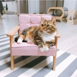 Универсальный диван на четыре сезона, популярно в интернете, домашний питомец, кот, полный комплект