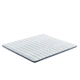 Dừa cọ nệm pad mat đơn 1 m 1,2 m 1,5 m xanh nâu cứng cọ nệm mỏng pad tùy biến - Nệm Nệm