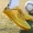 Giày bóng đá C Luo Assassin bị gãy móng tay nam và nữ sinh viên cỏ trưởng thành AG gai nhọn giày thể thao đào tạo bóng đá sneaker nam