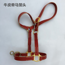 Недоуздок 疯抢人气牵马笼头 涤纶马笼套 遛马龙头 拴马草笼头 牛皮