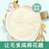 Bột chim cút Đài Loan làm tăng bột làm đẹp tóc 100g mèo Teddy dog ​​mèo lecithin pet chim cút bột - Cat / Dog Health bổ sung
