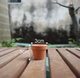 Shimi 3*3CM Ceramics Cup 1