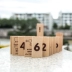 Bằng gỗ bạch đàn biết chữ số động vật 120 viên nang kiến ​​thức công nhận domino building blocks giáo dục cho trẻ em đồ chơi Khối xây dựng