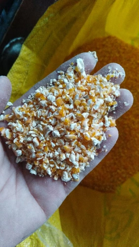 Нет измельченной кукурузной кукурузной кукурузной кукурузы фрагментированная куриная ути