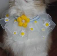 Дейзи маленькая желтая цветочная лента