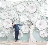 Промо -студии фотосъемка настоящая линия Baihua Свадебная платформа Sakura Фотография Фото фото цветочный фон свадебный фон Свадебная стена