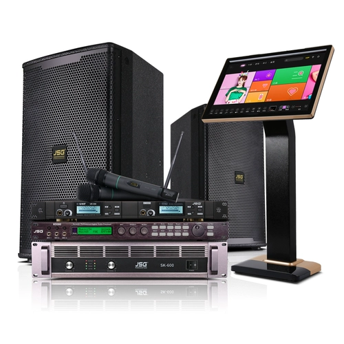 JSG сингл 12 -INCH Kara OK Disceer KTV Heavy Bass Bar Hifi Disceer Professional Audio Set Set