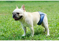 Gong Dog Pelitive, чтобы предотвратить преследование собак, останавливали брюки мочи Физиологические штаны, моча, водонепроницаемые брюки, санитарные штаны для домашних животных