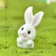 C7 Half Bunny