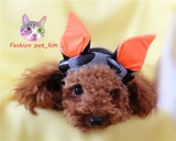 Чистая кошка и собака черные платья летучих мышей в Хэллоуин