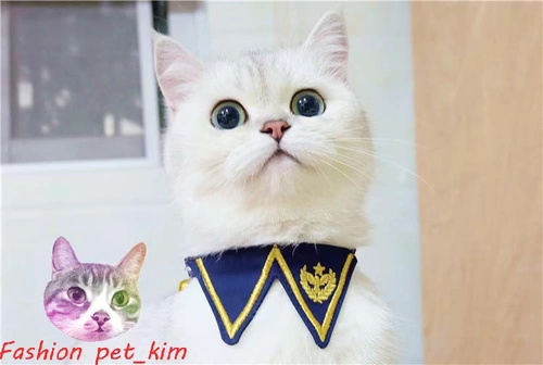 Униформа, галстук-бабочка, милый колокольчик, домашний питомец, кошки и собаки