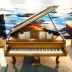 Đàn piano nhập khẩu nguyên bản của Mỹ Steinway & Son Louis XV - dương cầm