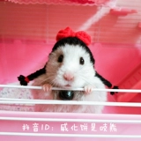 [Вейхуа торт дом]