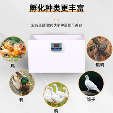 Гнездо 孵化器小型智能孵蛋器孵蛋机迷你水床孵化机小鸡芦丁鸡孵化箱