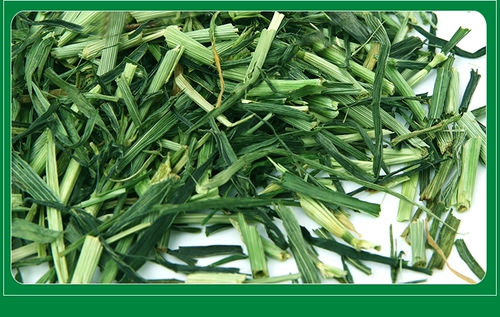 Секция ячменной трава морская свинья голландская свинья, морская свинка, кролик Тоторо 250 грамм 3 фунта бесплатная доставка