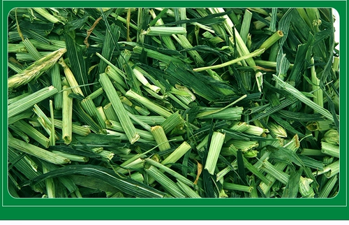 Секция ячменной трава морская свинья голландская свинья, морская свинка, кролик Тоторо 250 грамм 3 фунта бесплатная доставка