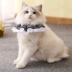 Pet mèo cổ chó khăn quàng cổ công chúa mô hình bib bib bib đồ trang sức nước bọt khăn kitty bib - Cat / Dog hàng ngày Neccessities
