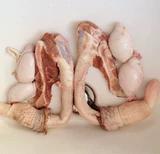 东北 长 新鲜 包邮 大鹿 鞭成年 鹿鞭真鹿鞭秋鞭 真品 正品 正品