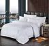 Khách sạn lanh giường gói mã hóa email dày bông đồng bằng satin chăn đặc biệt 3 cm - Quilt Covers chăn phao cao cấp	 Quilt Covers